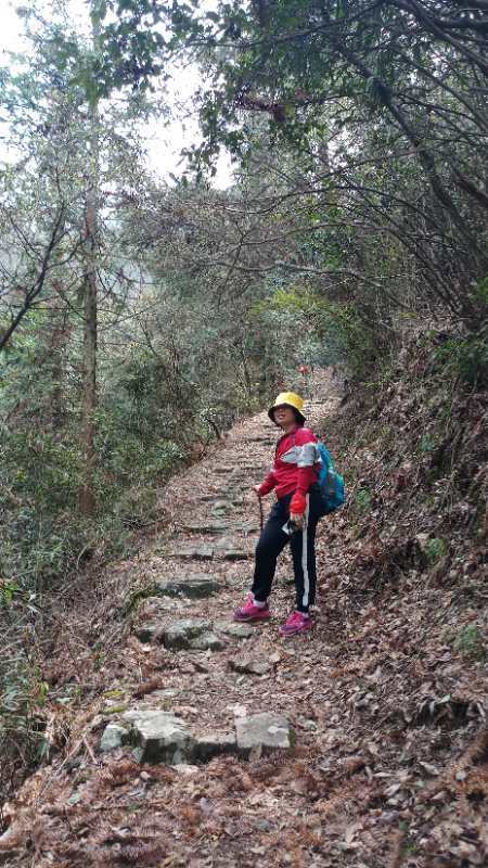 微信图片_201904011026548