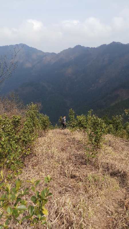 微信图片_201904011027333