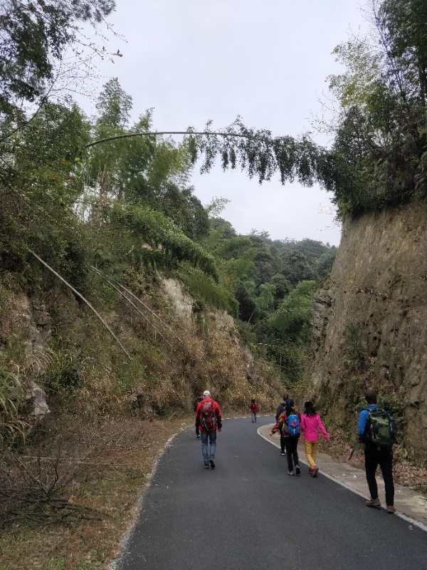 微信图片_201904011028042