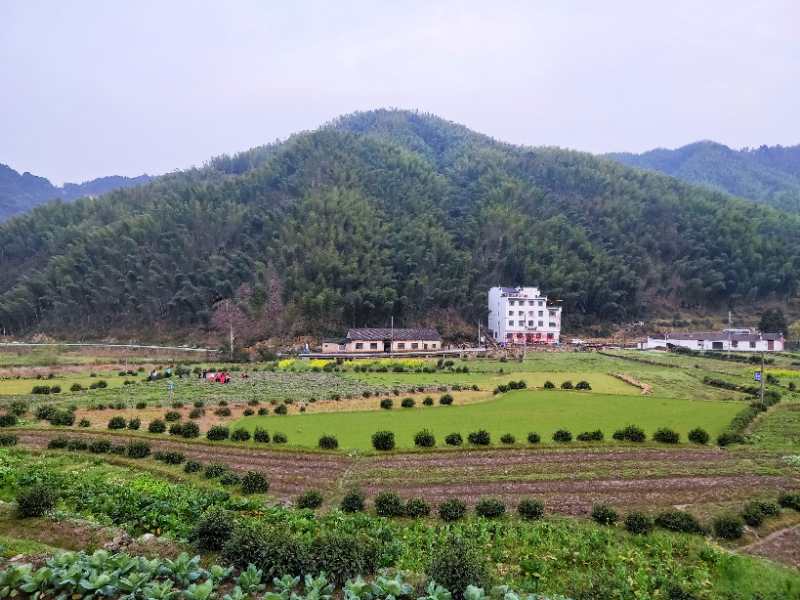 微信图片_201904011028045