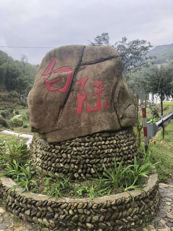 微信图片_201904011028492