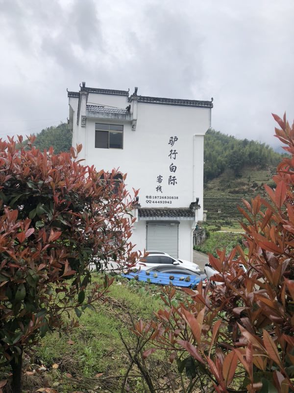 微信图片_201904011028493