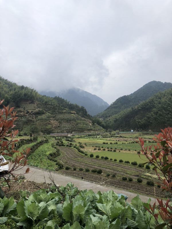 微信图片_201904011028494