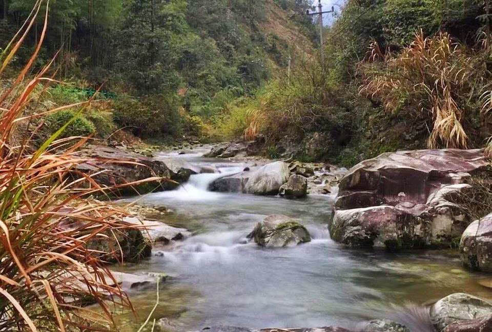 微信图片_201904011028498