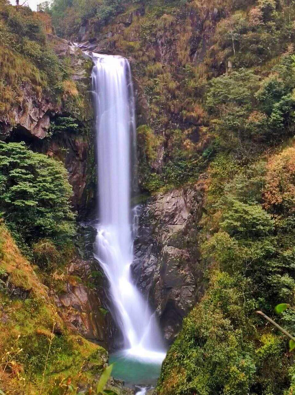 微信图片_201904011031391