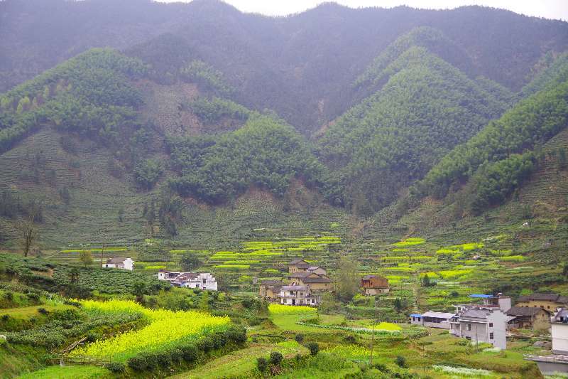 微信图片_201904011031393