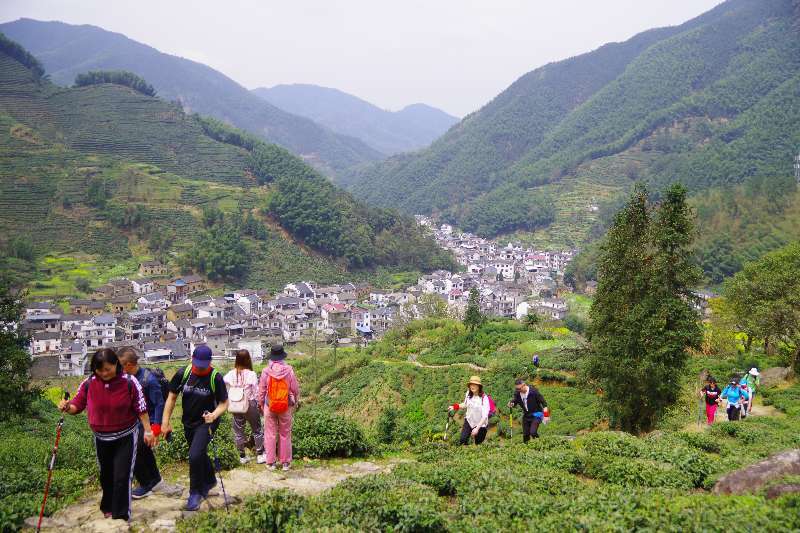 微信图片_201904011031394