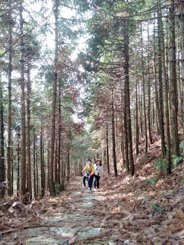 微信图片_201904011034322