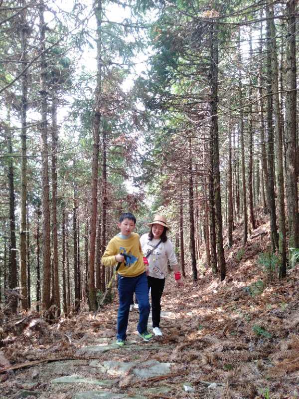 微信图片_201904011034324