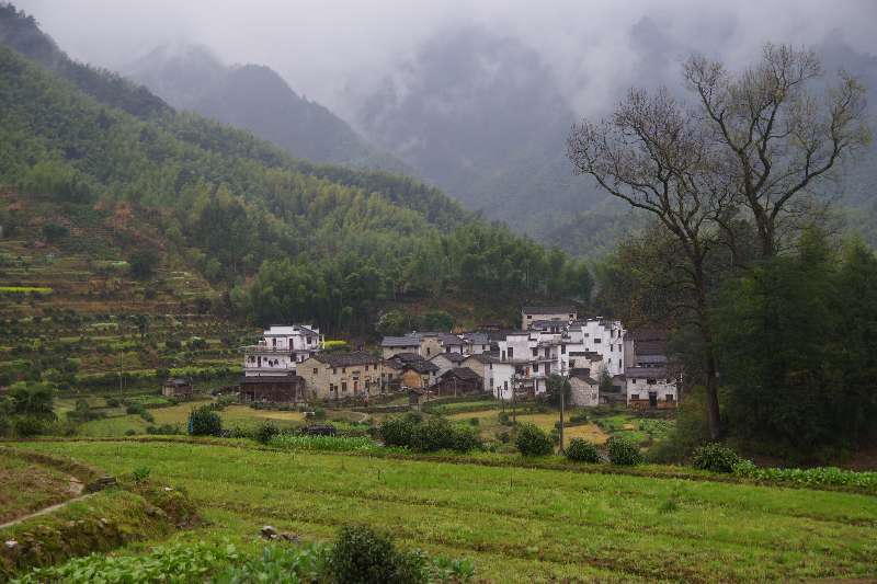 微信图片_201904011042081