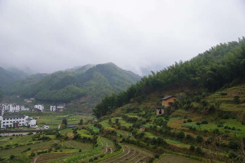 微信图片_201904011042082