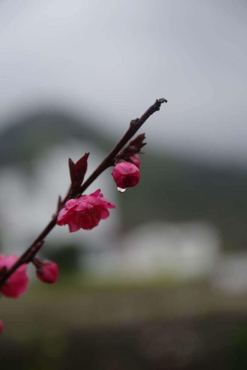 微信图片_201904011042084