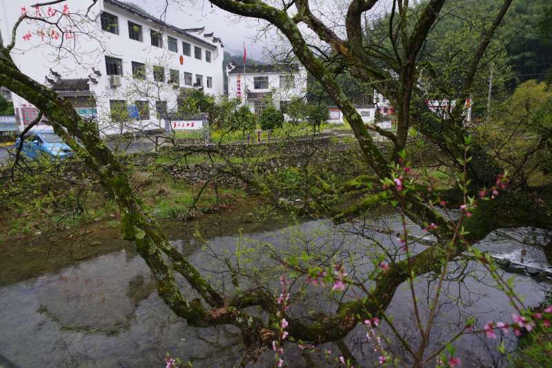 微信图片_201904011042085