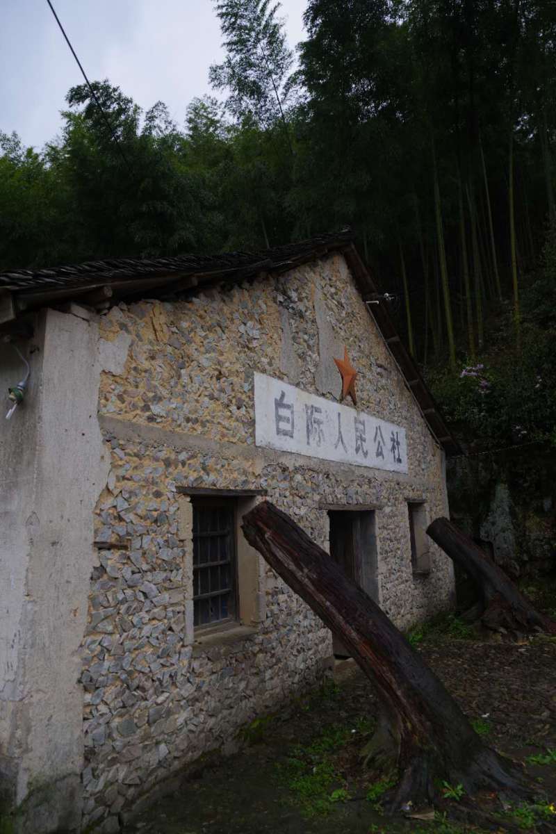 微信图片_201904011043401