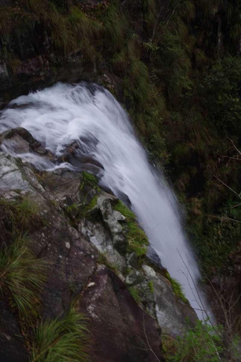 微信图片_201904011044378