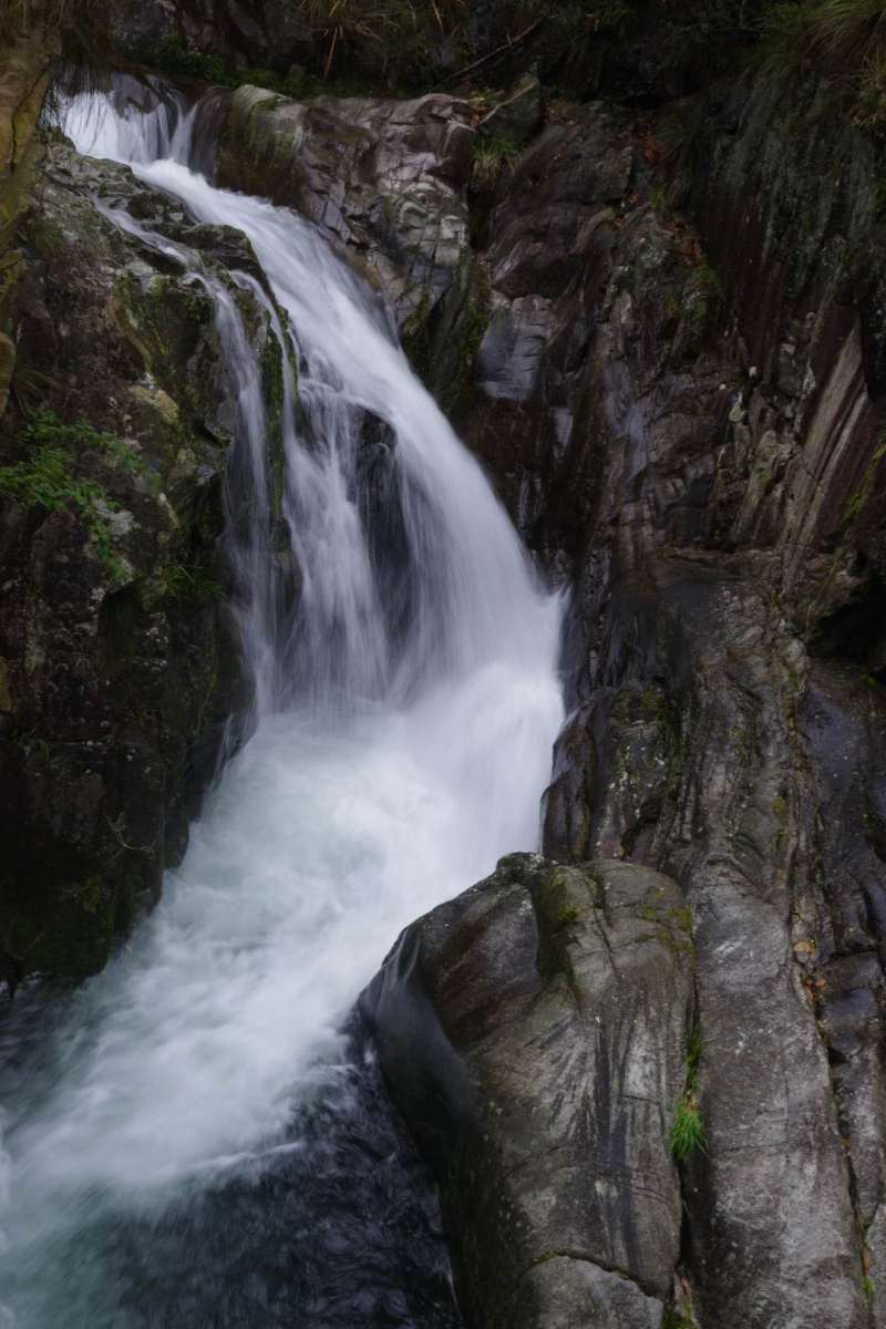 微信图片_201904011046001