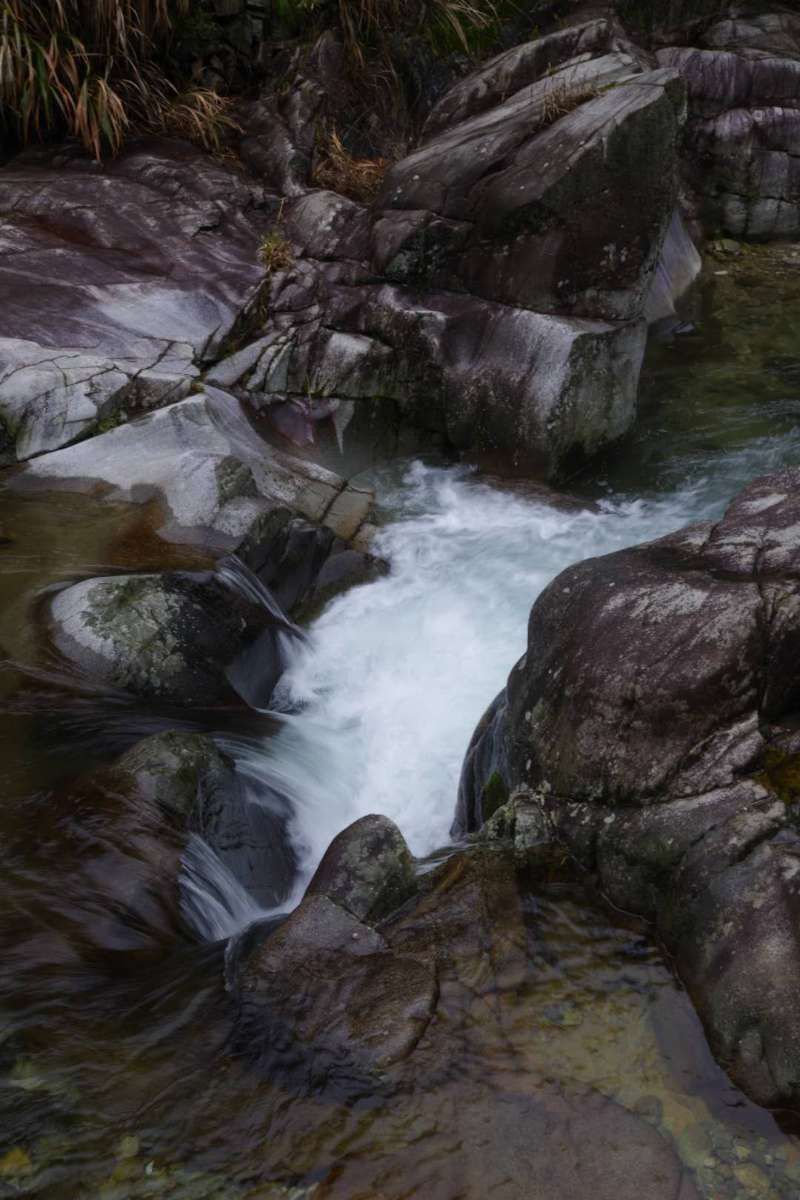 微信图片_201904011046003