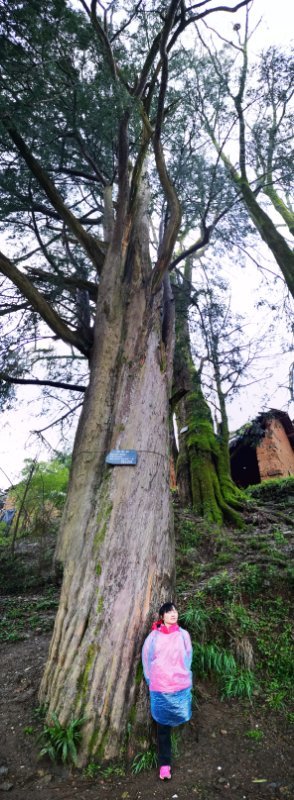 微信图片_201904011046005