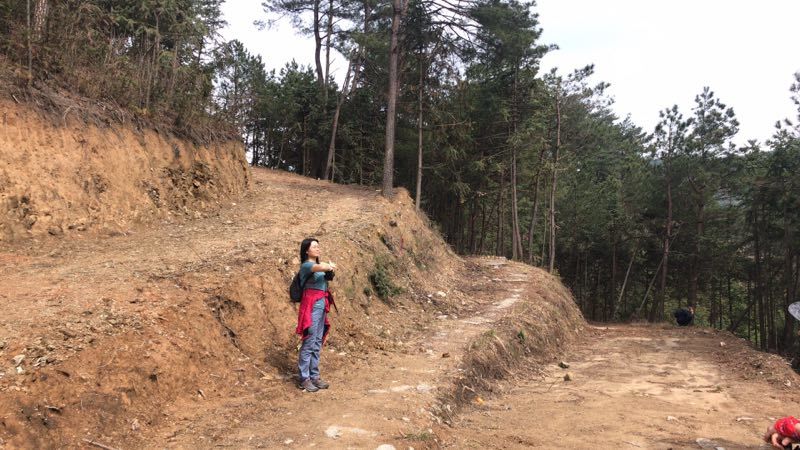 微信图片_201904011047131