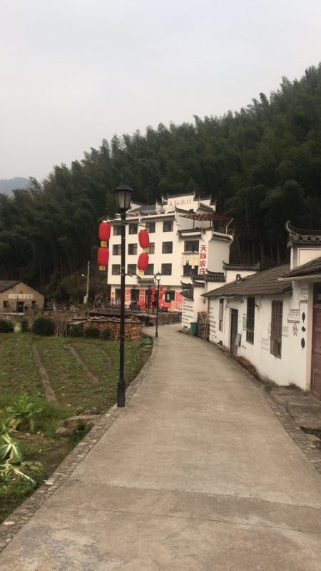 微信图片_201904011047136