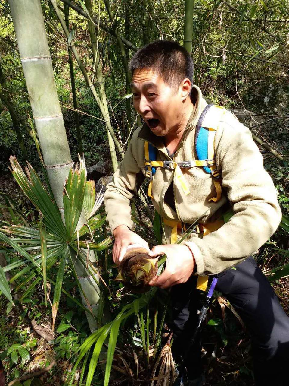 微信图片_201904011047138