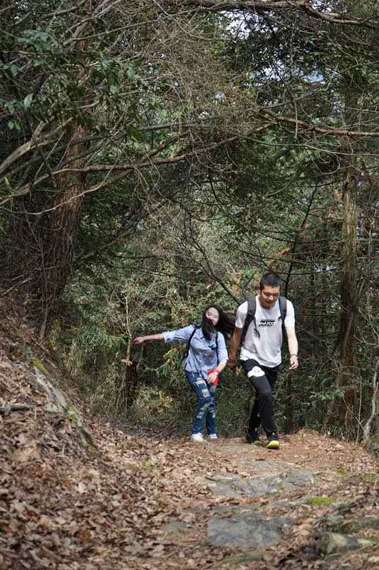 微信图片_201904011048185