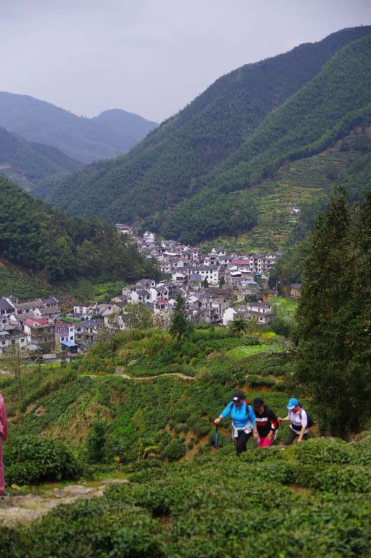 微信图片_201904011031395