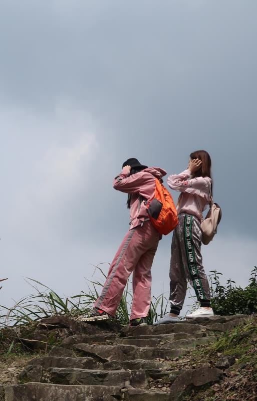 微信图片_201904030932225