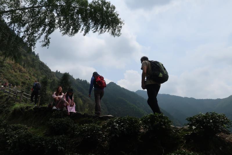 微信图片_201904030933091