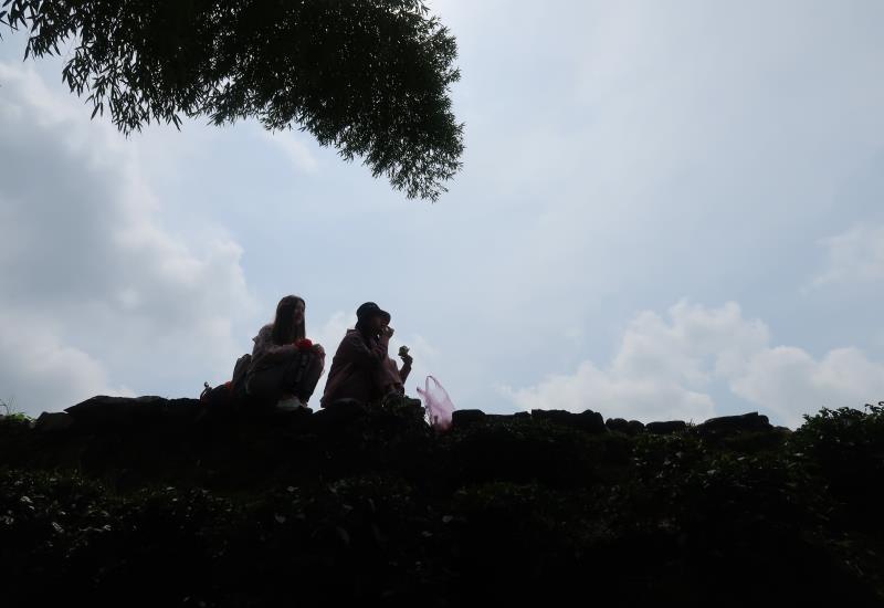 微信图片_201904030933094