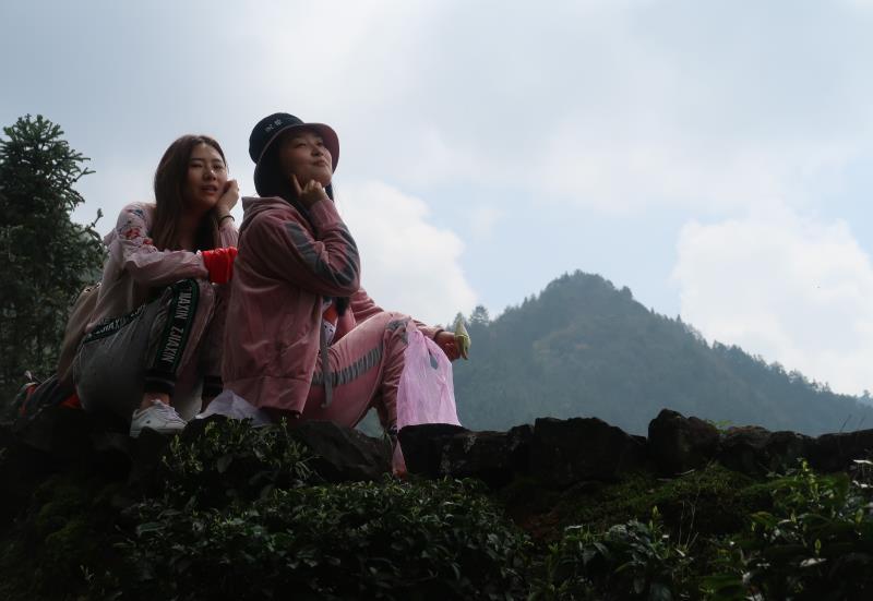 微信图片_201904030933096