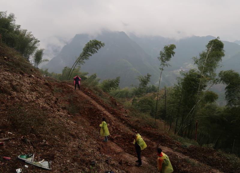 微信图片_201904030933402