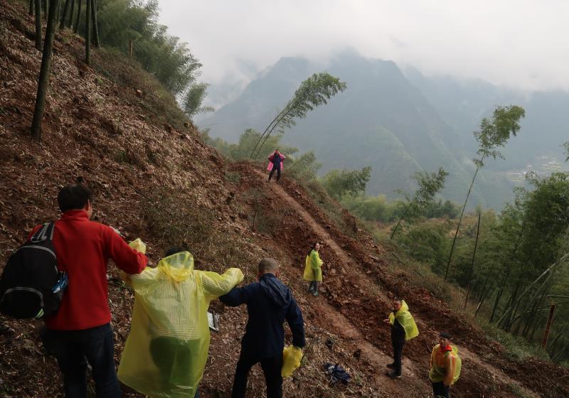 微信图片_201904030933403