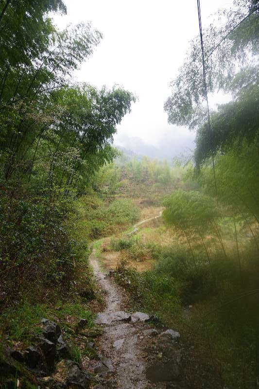 微信图片_201904011040017