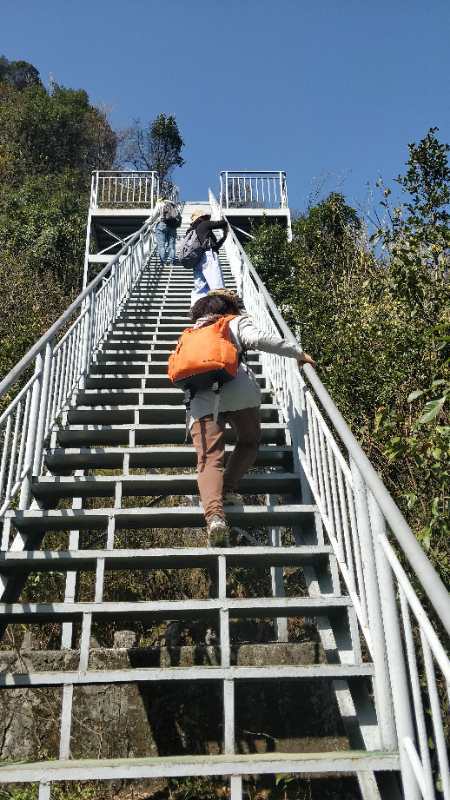 微信图片_20190411181648