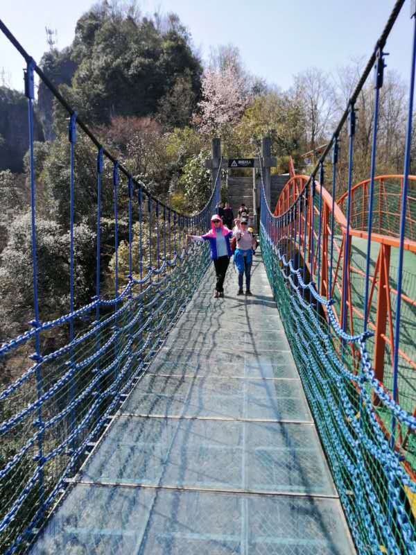 微信图片_20190411181712