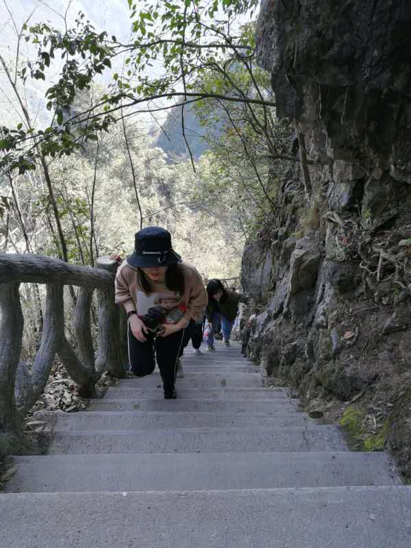 微信图片_20190411181715