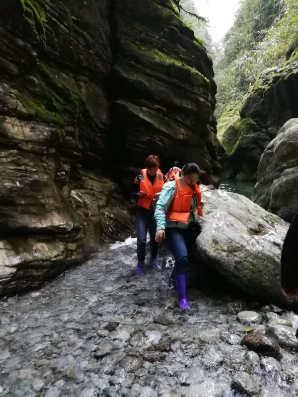 微信图片_20190411181728