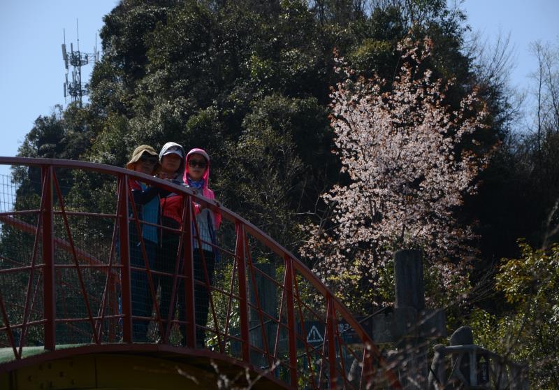 微信图片_20190415164755