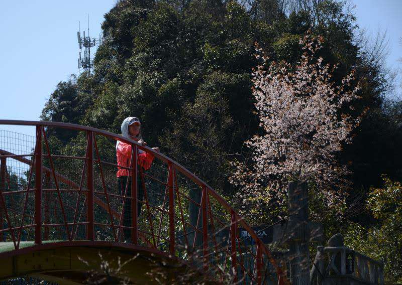 微信图片_201904151647551