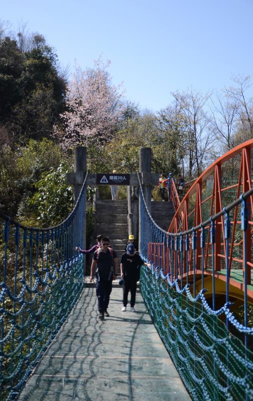 微信图片_201904151647552