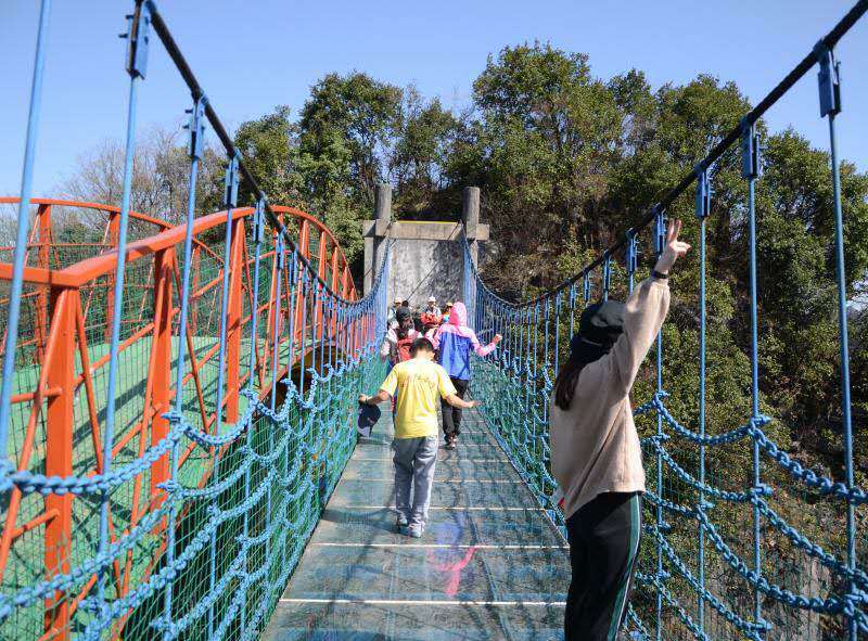 微信图片_201904151647553