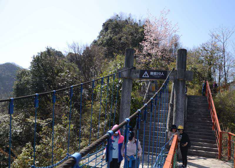 微信图片_201904151647554