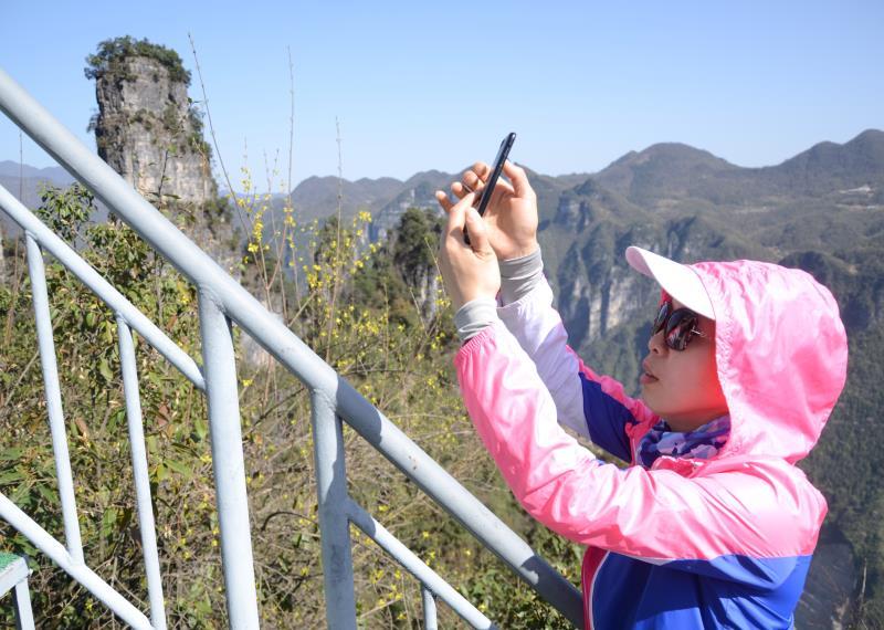 微信图片_201904151647557