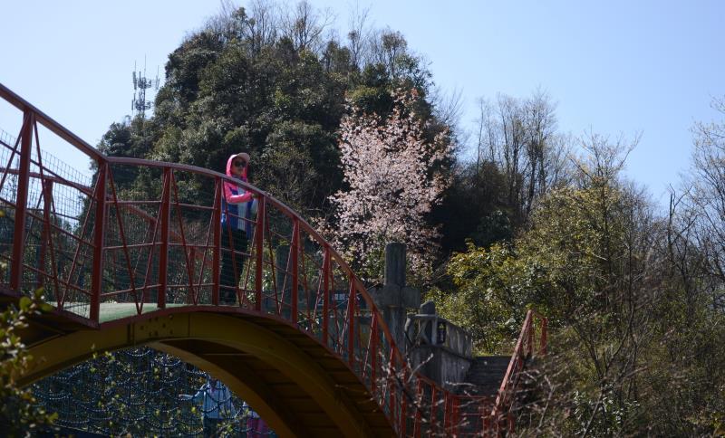 微信图片_201904151647558