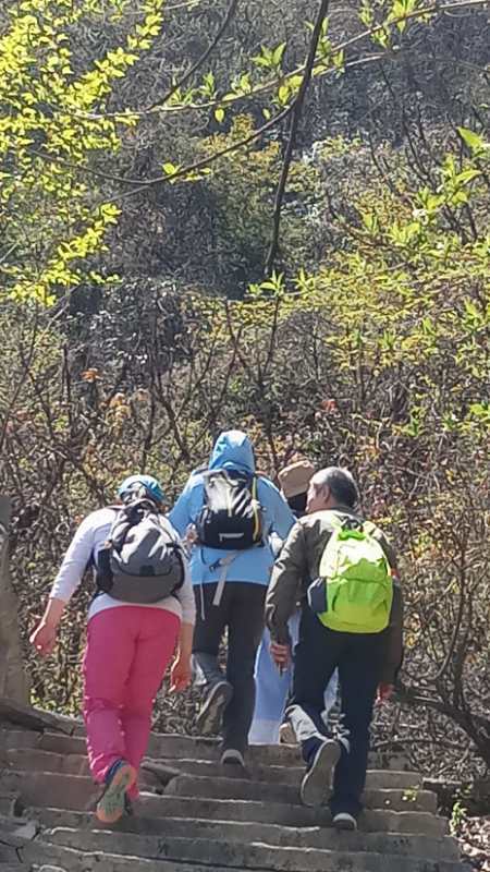 微信图片_2019041516475517