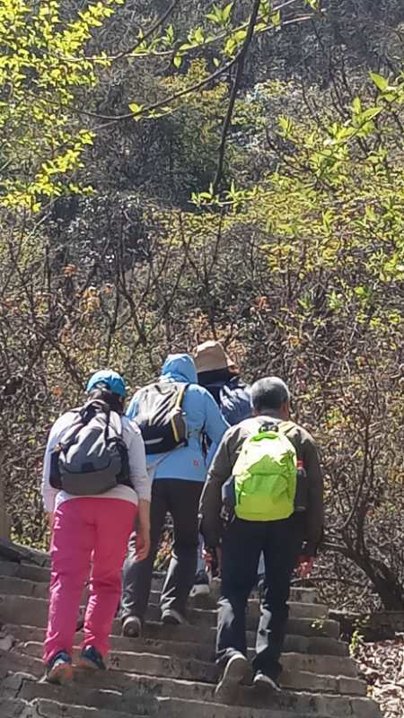 微信图片_2019041516475518