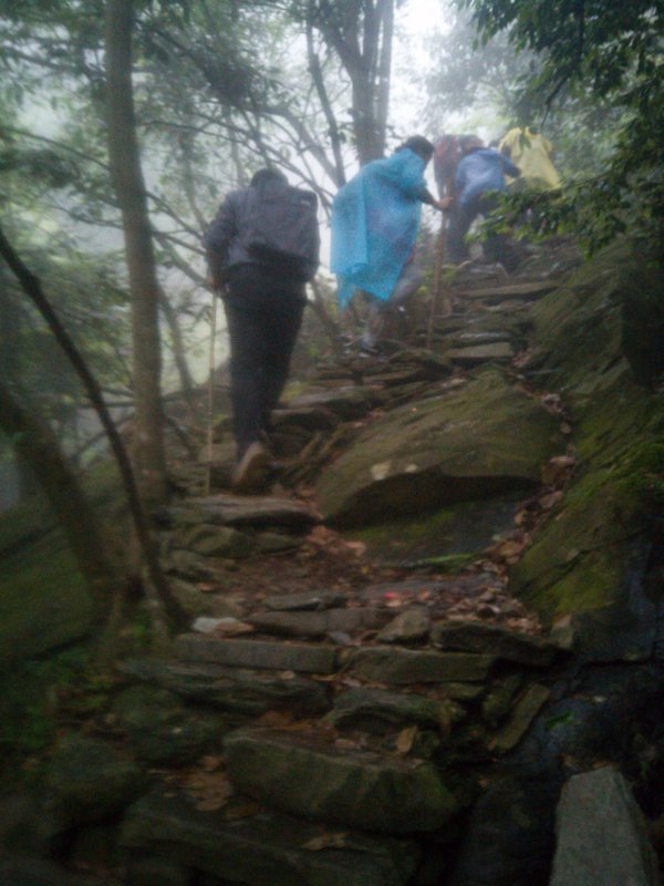 微信图片_20190423120601