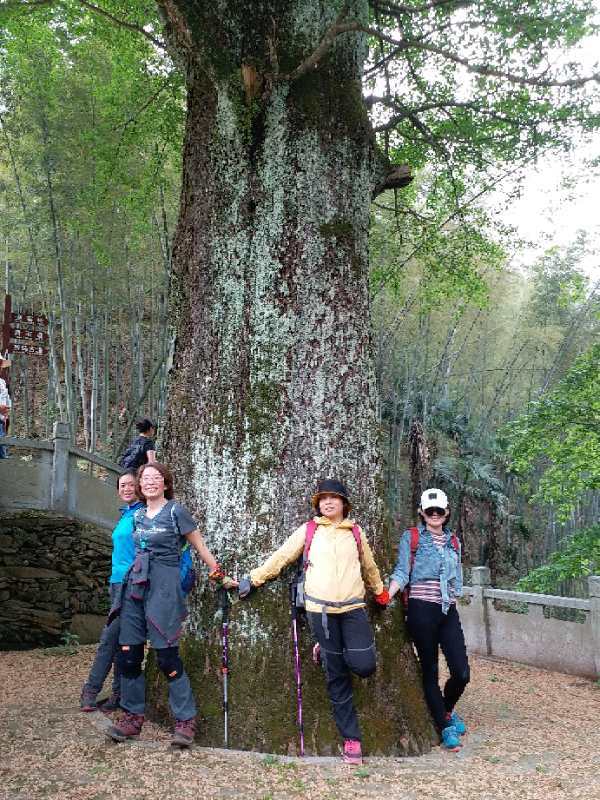 微信图片_201904231205191