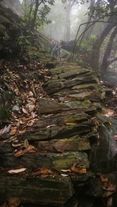 微信图片_201904231206016